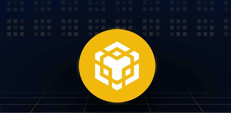 BNB币涨了多少倍？