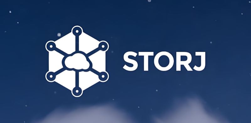 STORJ币会涨到100吗?