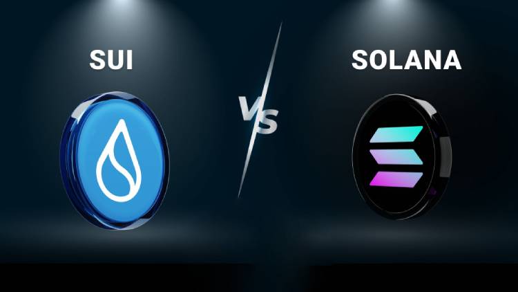 什么是加密货币中的代币经济学