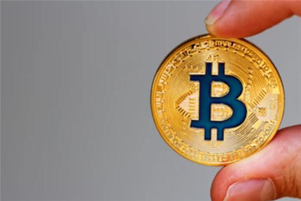 中币网平台币 中币网平台币