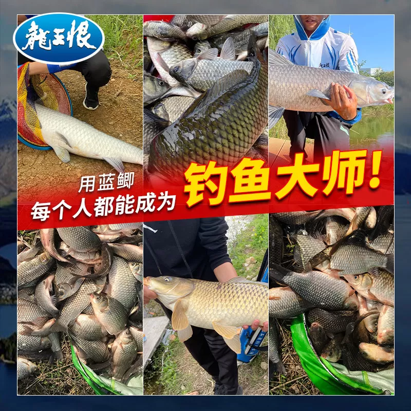 龙王恨鱼饵野战蓝鲫老款鲫鱼饵料野钓专用鲤鱼钓鱼鱼食官方正品