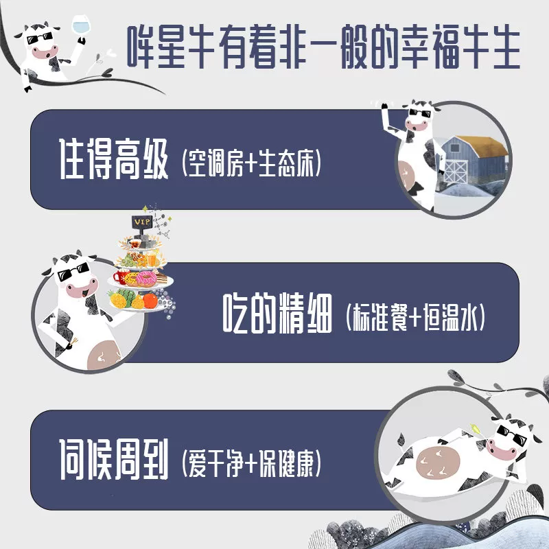 君乐宝遇见奶牛纯牛奶200ml*24盒早餐营养纯牛奶