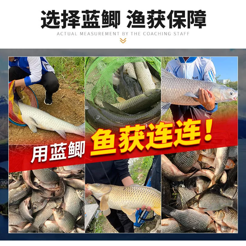 龙王恨鱼饵野战蓝鲫x5钓鲫鱼饵料野钓专用鲤鱼草鱼饵青春版打窝料
