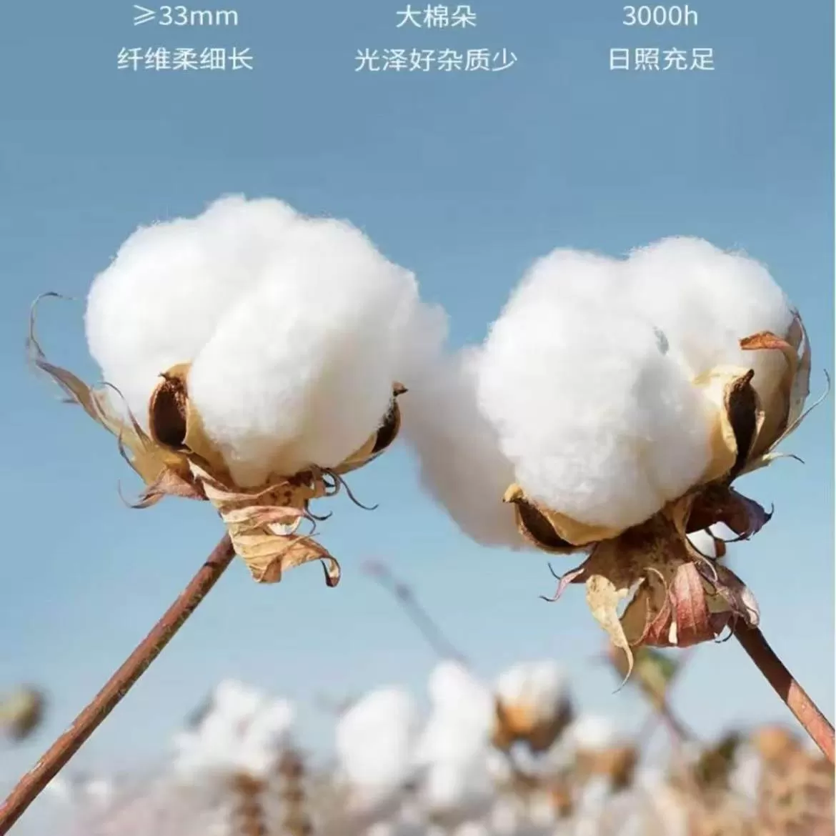 正肩短袖T恤女白色圆领宽松百搭显瘦小个子穿搭上衣