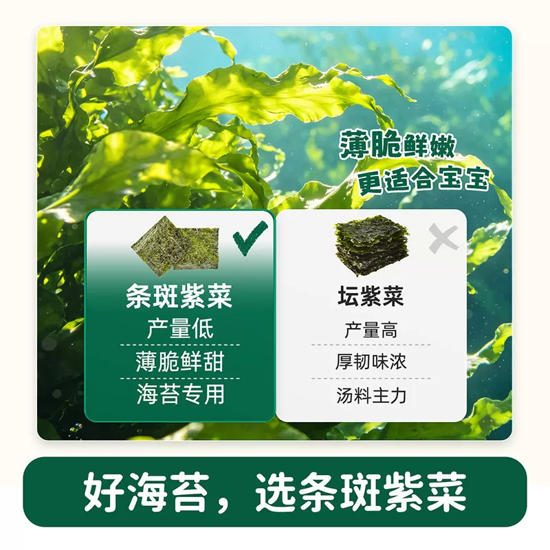 碧欧奇坚果海苔脆片即食儿童健康无添加糖紫菜零食送婴儿宝宝食谱