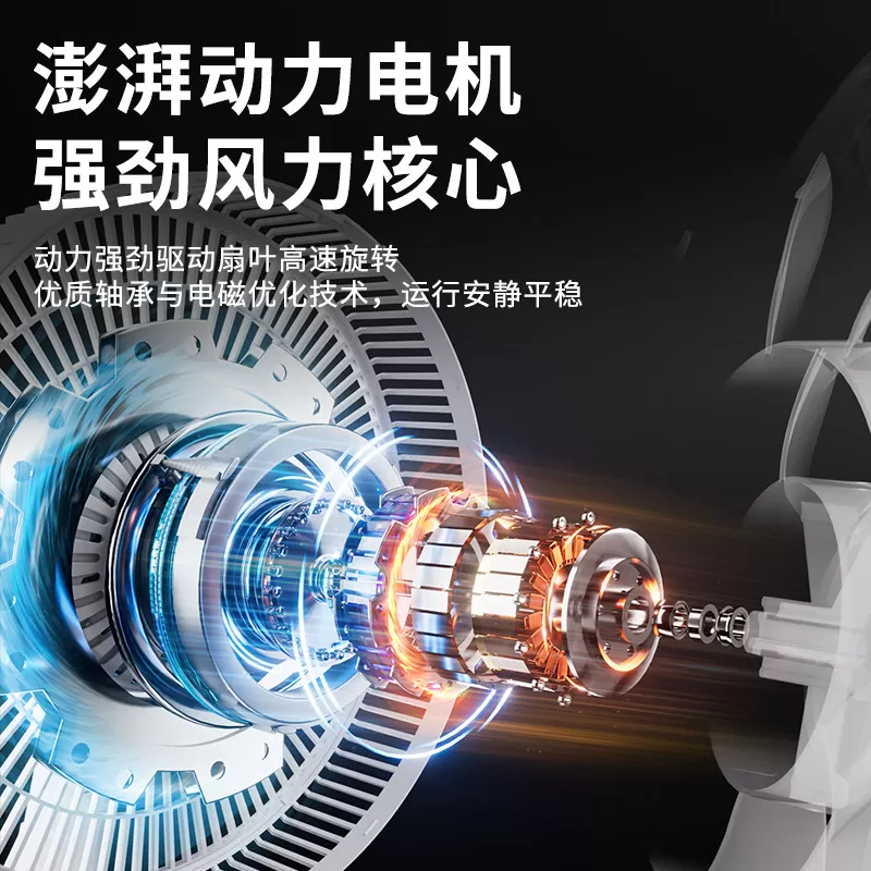 扬子落地扇2026新款家用电风扇卧室台立两用节能电扇大风力钢管
