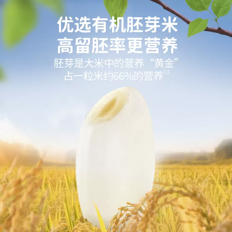 小鹿蓝蓝婴幼儿有机胚芽米饼 儿童饼干婴标磨牙棒6月+宝宝零食