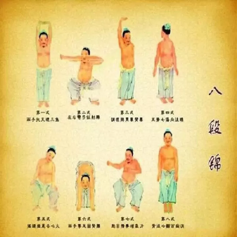 八段锦视频U盘体育总局版完整高清标准教学教程USB带图像健身气功