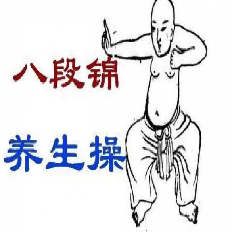 八段锦视频U盘体育总局版完整高清标准教学教程USB带图像健身气功