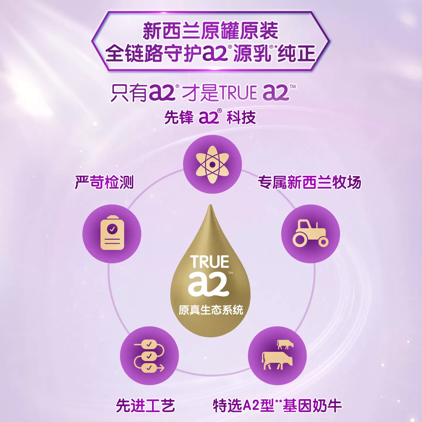 [官方旗舰]a2进口紫白金二段较大婴儿配方奶粉2段6-12月900g*8罐
