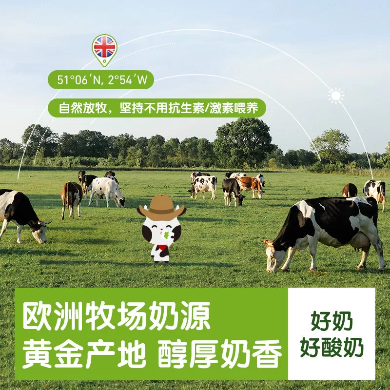 小皮酸奶发酵乳水果泥原装进口酸奶无添加糖盐零食常温外出袋装