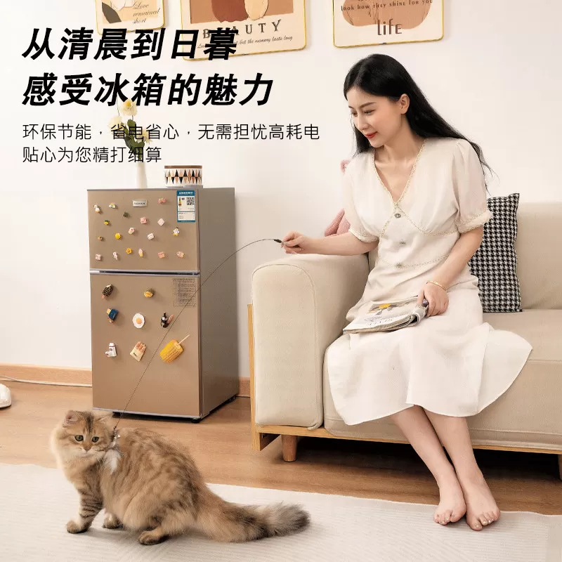先科一级节能小冰箱家用小型宿舍租房用迷你省电办公室双门电冰箱