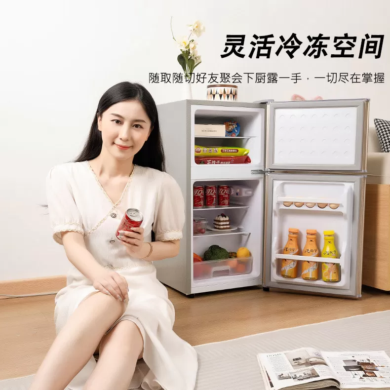 先科一级节能小冰箱家用小型宿舍租房用迷你省电办公室双门电冰箱
