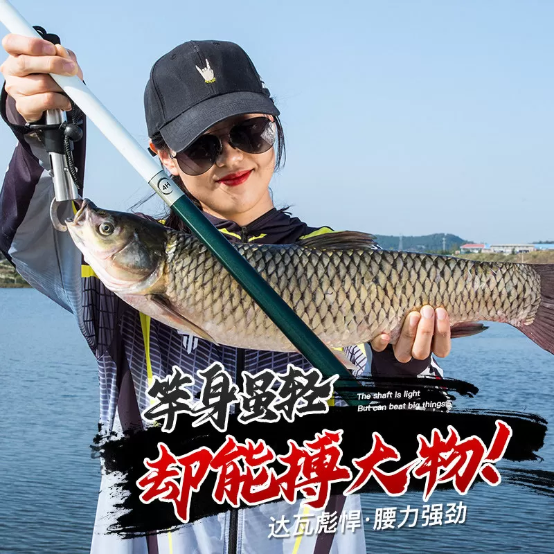 正品达瓦彪悍钓鱼竿手杆碳素超轻超硬28调19调台钓竿鲤鲫鱼竿手竿