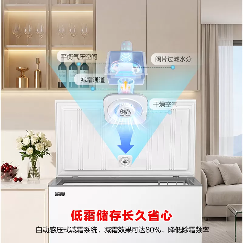 容声300升大容量减霜冰柜家用小型商用冰柜冷冻冷藏两用冷柜冰箱