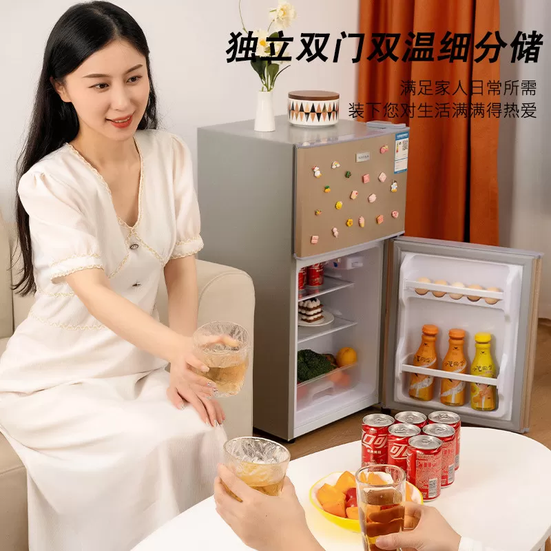 先科一级能效小冰箱家用小型宿舍租房用迷你省电办公室双门电冰箱
