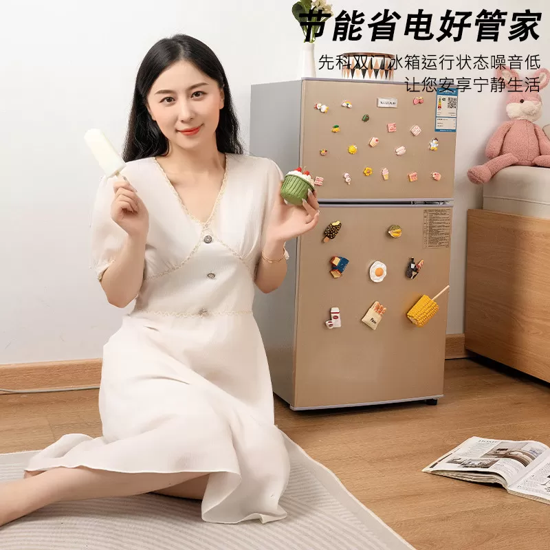 先科一级能效小冰箱家用小型宿舍租房用迷你省电办公室双门电冰箱