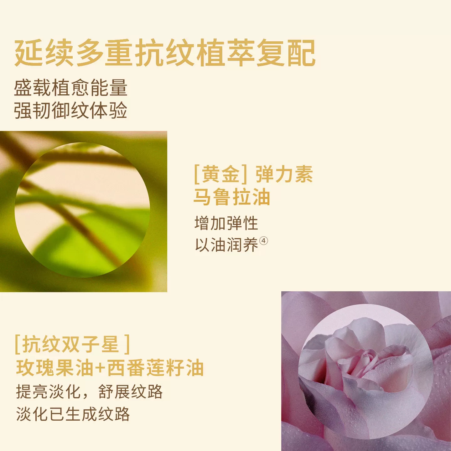 Evereden安唯伊特殊时期修护淡纹凝时兰花肚精华油小金砖50ml*2