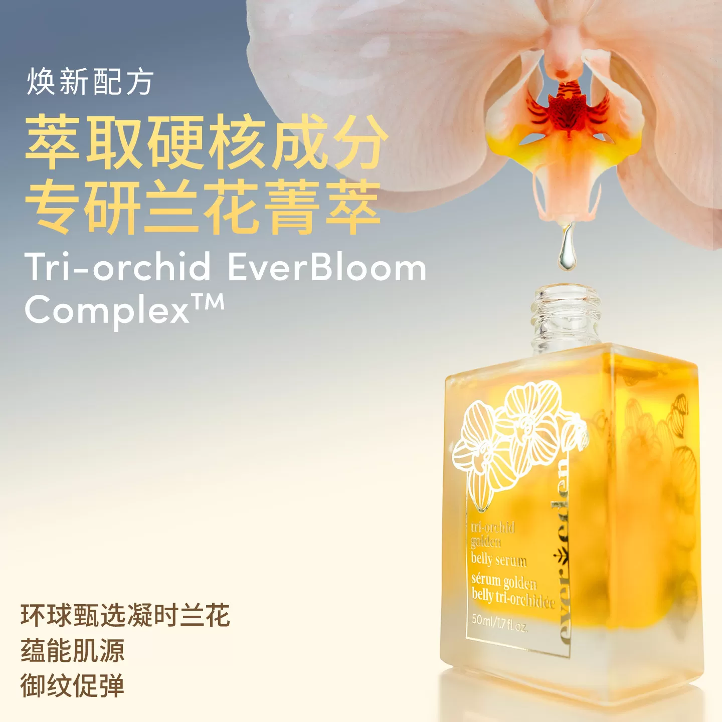 Evereden安唯伊特殊时期修护淡纹凝时兰花肚精华油小金砖50ml*2