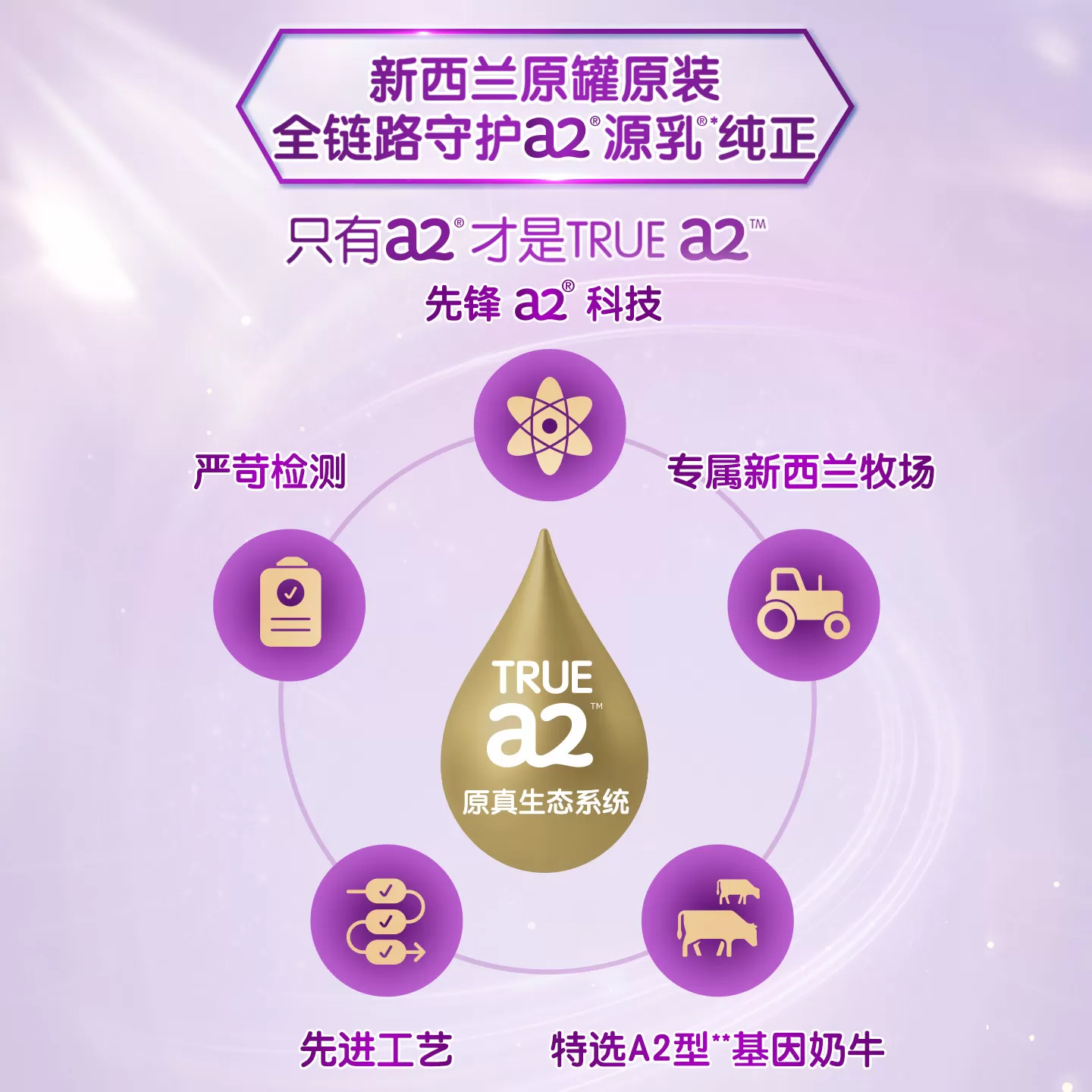 a2紫白金2段二段较大婴儿配方奶粉婴幼儿进口900g*6罐[批批严检]