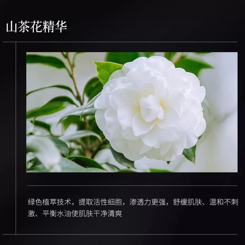 CUSMYRE旗舰舒颜柔嫩净肤洁面山茶花正品洗面奶B