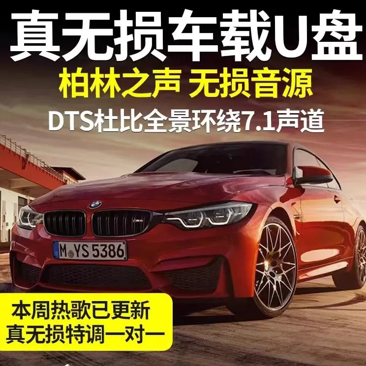 白兰的雷鬼版车载歌曲U盘老歌翻唱全集无损高品质车用音乐usb优盘