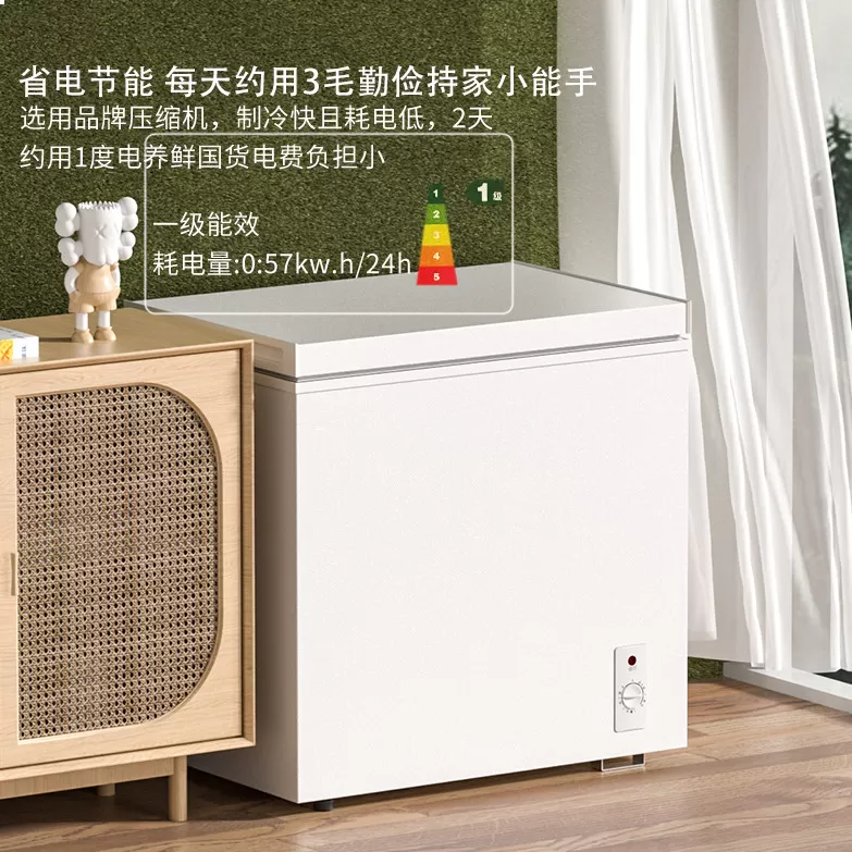 先科冰柜一级能效家用小型全冷冻冷藏两用冷柜迷你减霜商用冷柜