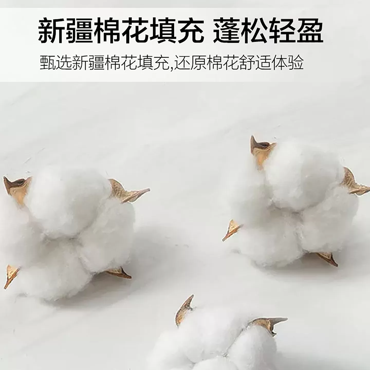 全棉夏被空调被夏凉被100%纯棉薄被子单人春秋被芯棉花棉被可机洗