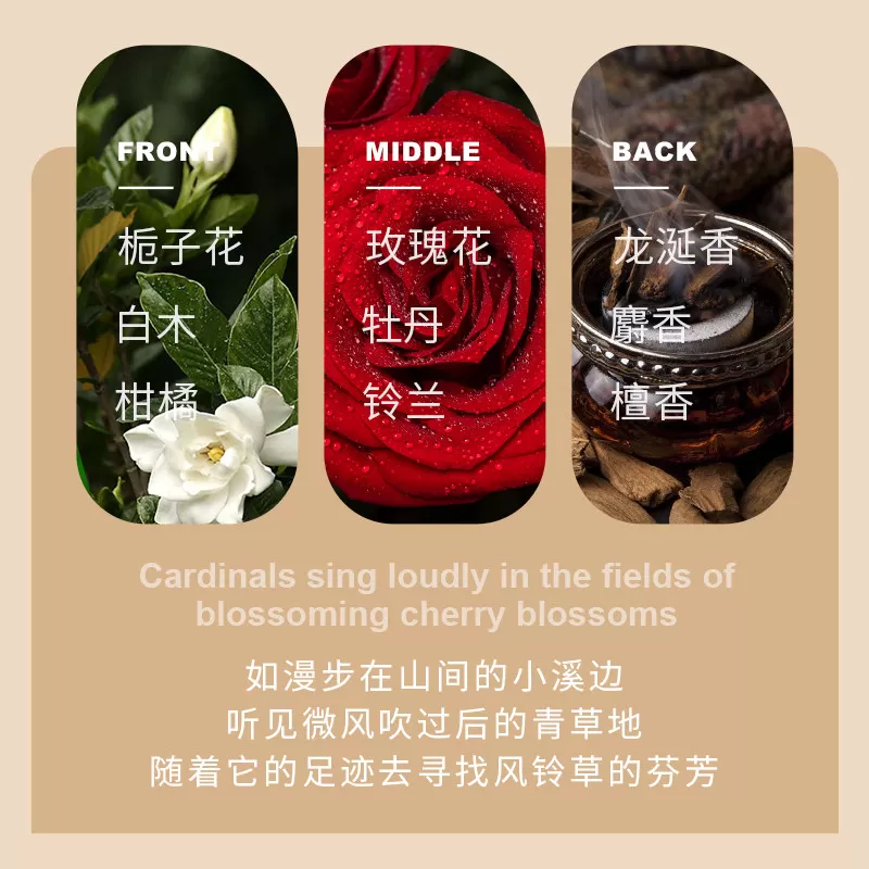 致朵深润柔滑免蒸发膜顺滑滋润补水保湿改善毛躁护发膜官方正品
