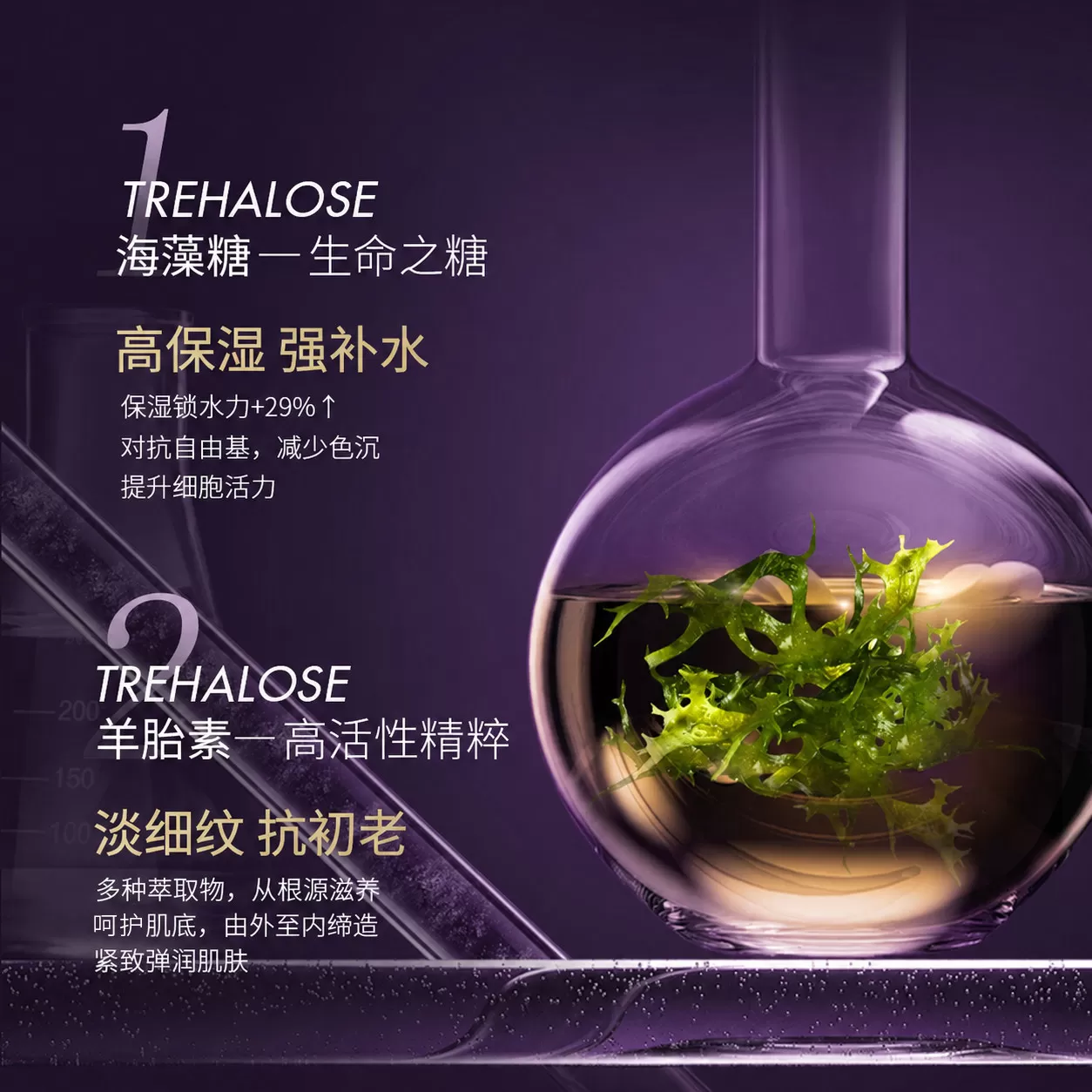 DecorRack深海藻糖羊胎素抗皱冻干粉套装礼盒紧致抗皱13