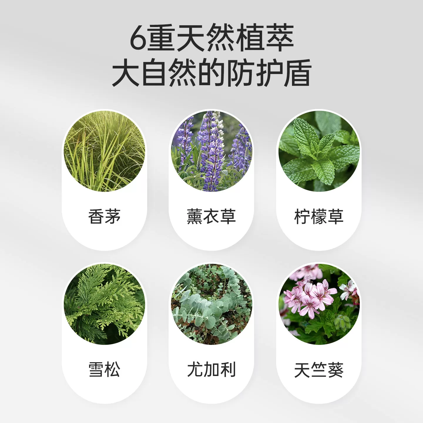 子初爆珠精油贴防护贴组合花露水驱蚊液成人