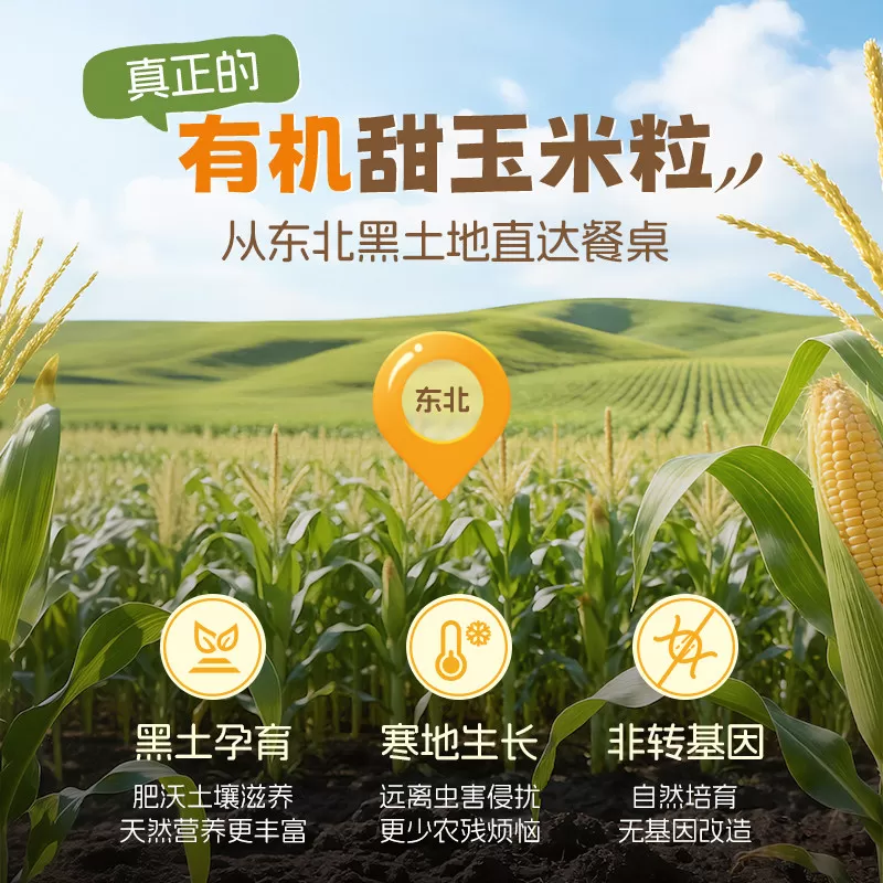 爷爷的农场有机脱皮胚芽玉米粒脱皮玉米粒婴儿即食早餐宝宝辅食