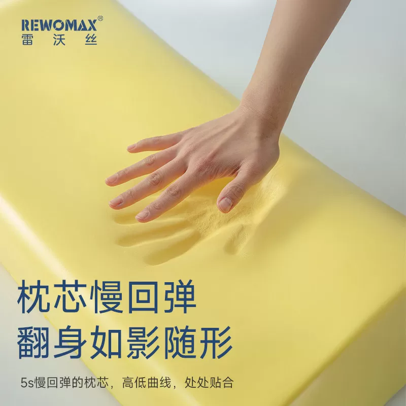 雷沃丝深睡慢回弹记忆枕头护颈椎助睡眠夏季冰丝凉感枕套睡觉专用