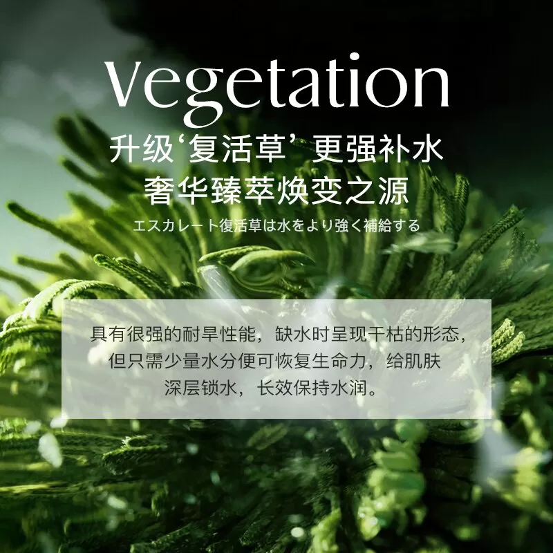 澳洲NOFN复活草保湿面膜舒缓补水提亮肌肤亚马逊泥膜深层清洁173
