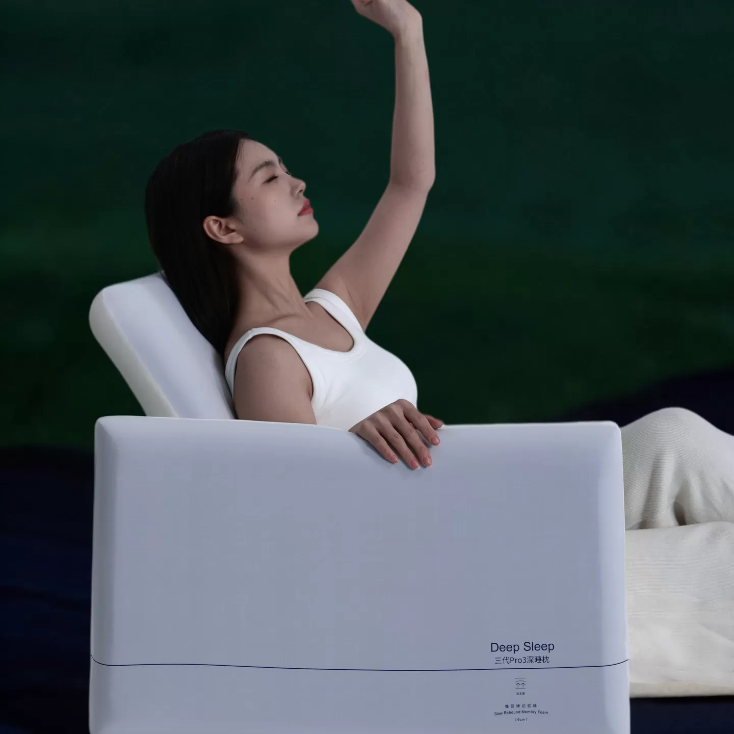 深睡枕枕头护颈椎助睡眠成人Pro3.0慢回弹记忆棉枕芯专用枕一对S5