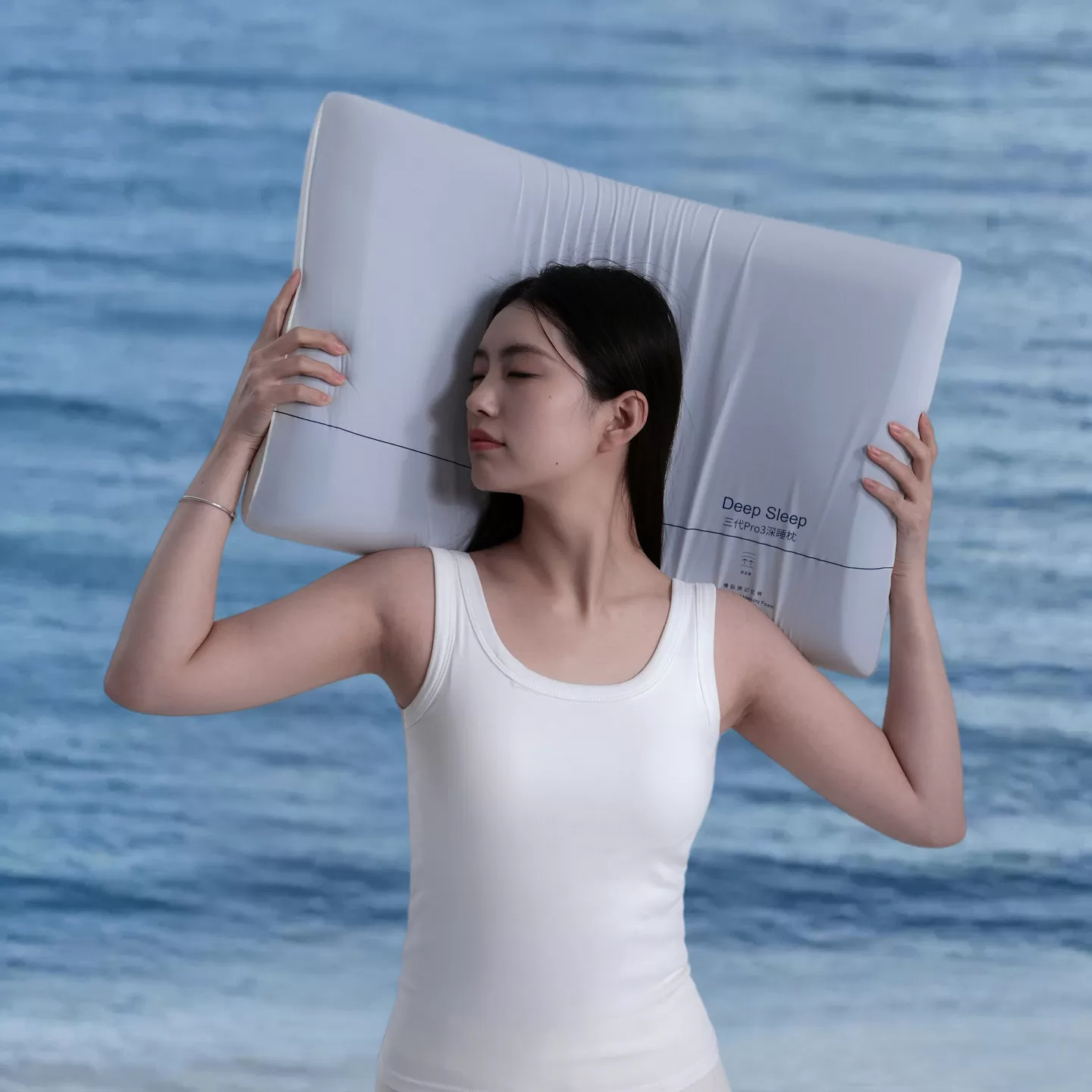 深睡枕枕头护颈椎助睡眠成人Pro3.0慢回弹记忆棉枕芯专用枕一对S5