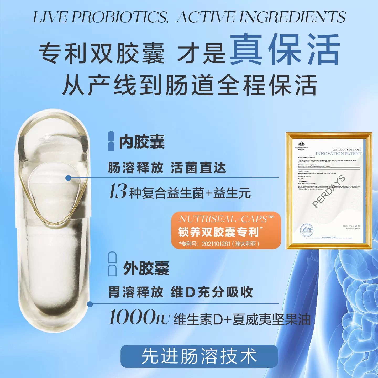【香菇超级88年中盛典】PERDAYS稳糖双胶囊益生菌孕期益生菌