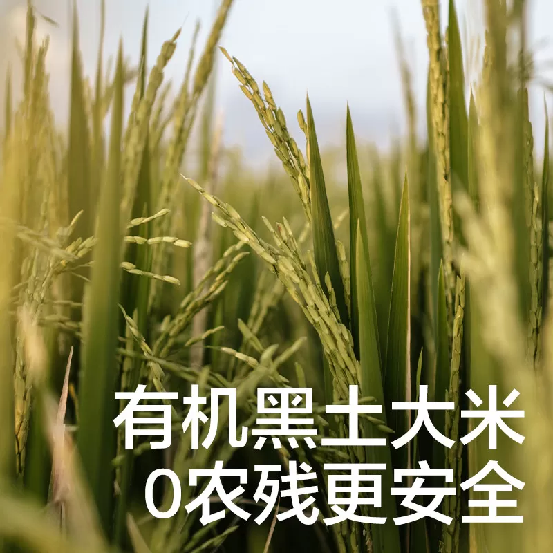 光合星球有机脆米饼儿童吃的零食婴儿辅食宝宝饼干无添加食盐6月+