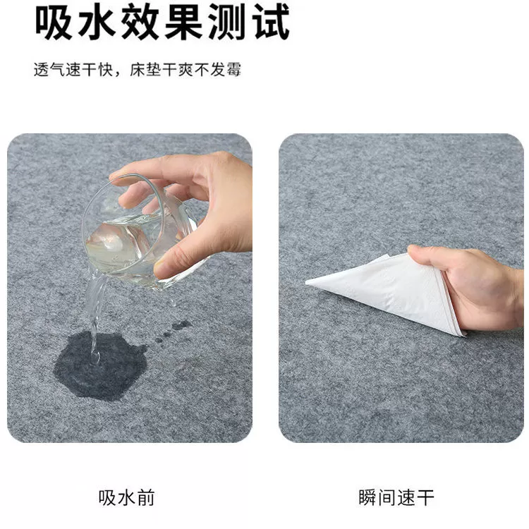 大学生宿舍防潮垫防湿防霉防螨隔脏垫床上用隔潮毛毡垫子四季加厚