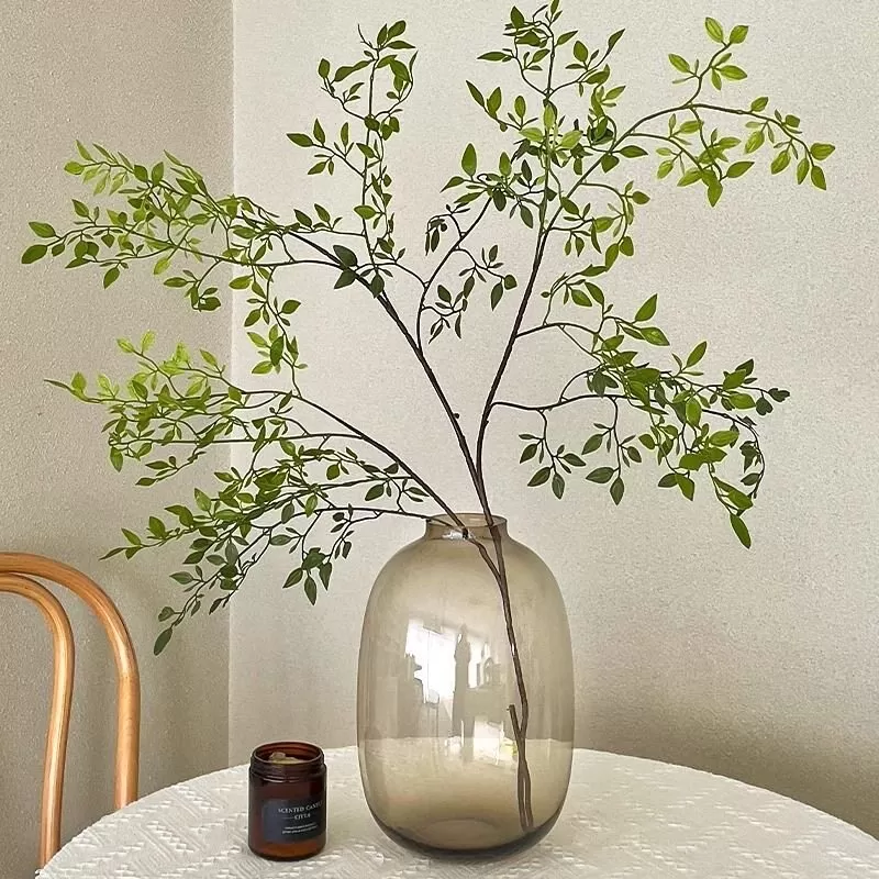 简约大肚玻璃花瓶透明水养富贵竹吊钟马醉木绿植客厅插花装饰摆件