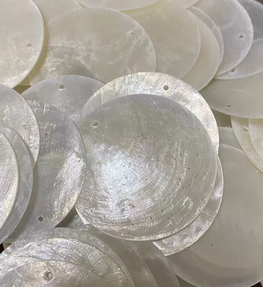 云母片天然贝壳圆片镜贝婚礼装饰贝母片DIY灯具风铃贝壳画配件