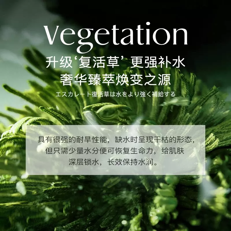 澳洲NOFN复活草保湿面膜舒缓补水提亮肌肤亚马逊泥膜深层清洁174
