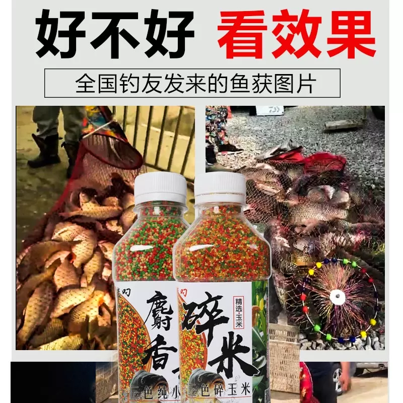 钓鱼三色米麝香酒米打窝米黑坑野钓鲫鱼鲤鱼麻团颗粒秒粘小米饵料