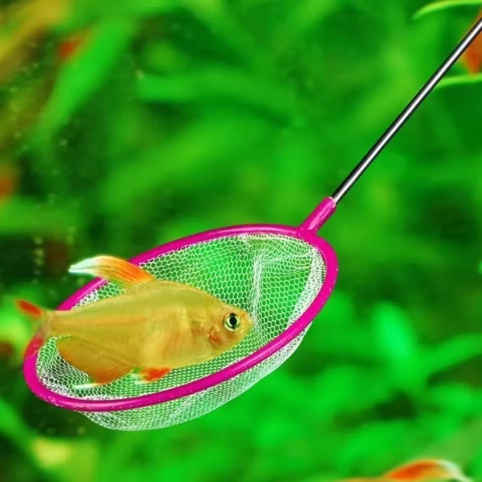 鱼缸捞鱼网水族箱用品大全小渔捞捕捞鱼网兜观赏鱼丰年虾网小抄网